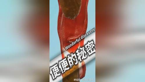 我一直很好奇，同样是屎，为什么会有不同的形态奥秘