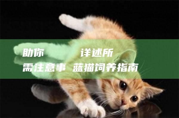 助你輕鬆飼養藍貓详述所需注意事項蓝猫饲养指南