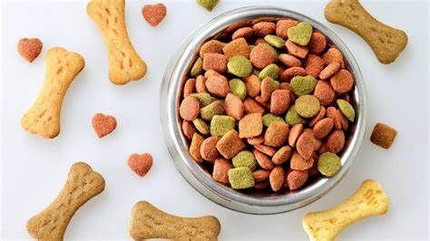 Doggie Diet Revolution：低过敏性狗粮如何改变宠物营养趋势