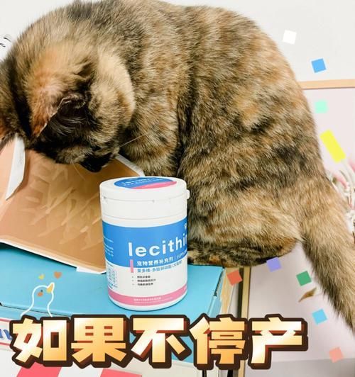 猫咪需要吃哪些营养品？如何选择合适的猫咪营养补充品？