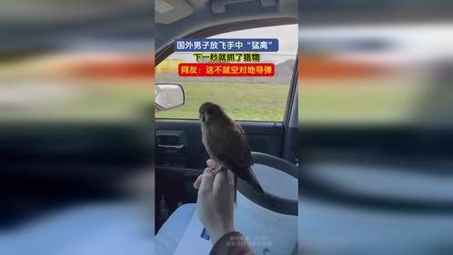 国外男子放飞手中“猛禽”，下一秒就抓了猎物，网友：这不就空对地导弹