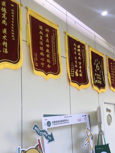我爱我宠！太棒了