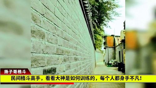 民间格斗高手，看看大神是如何训练的，每个人都身手不凡！