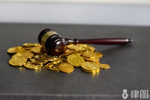 购买二级保护鸟类几只立案
