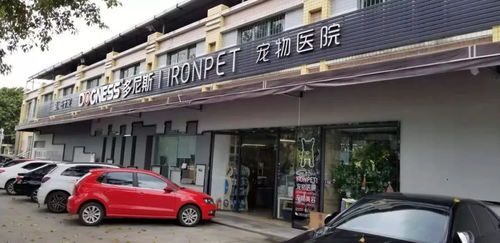 黄冈摩尔城宠物医院，宠物护理指南地