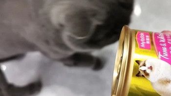 麦富迪猫罐头 成幼猫通用宠物冻干猫零食湿粮猫条 浓汁混合装85g*24