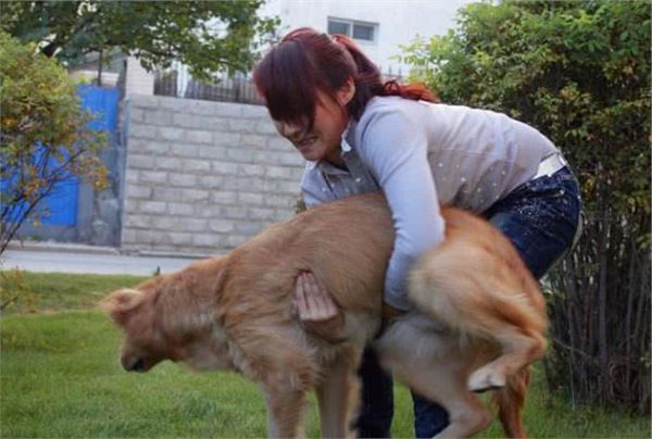 如何在家给狗狗体检？这几个办法，请你收好