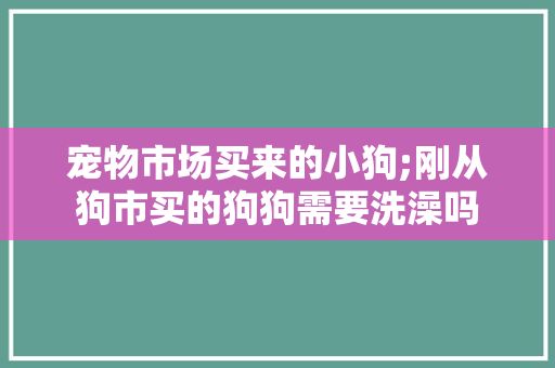 宠物市场买来的小狗;刚从狗市买的狗狗需要洗澡吗