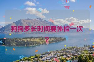 狗狗多长时间要体检一次？