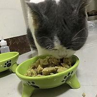 自制健康猫粮的做法图解13