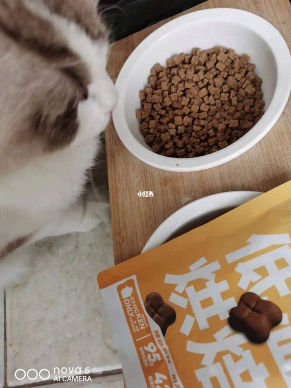 猫粮烘焙技术培训课件图片，探索猫食制作的魅力技艺