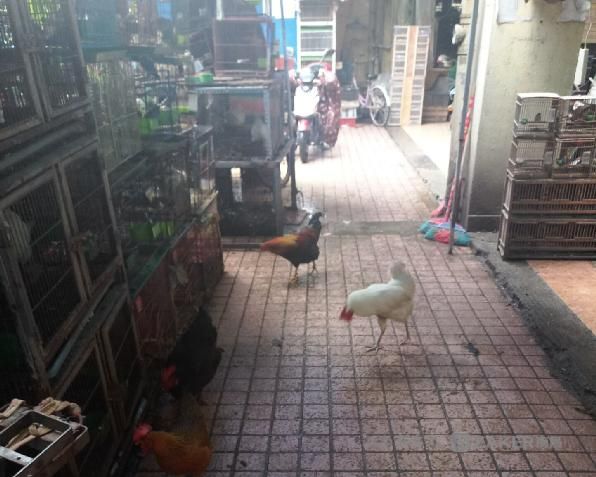 南昌“千花伴”昔日门庭若市 如今满目萧条脏乱差