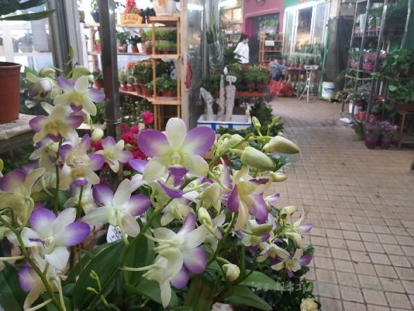 南昌“千花伴”昔日门庭若市 如今满目萧条脏乱差