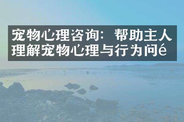 宠物心理咨询：帮助主人理解宠物心理与行为问题