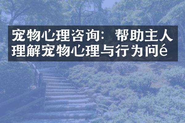 宠物心理咨询：帮助主人理解宠物心理与行为问题