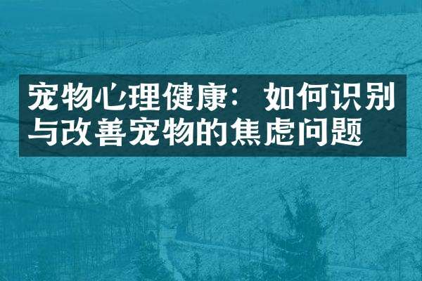 宠物心理健康：如何识别与改善宠物的焦虑问题