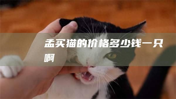 孟买猫的价格多少钱一只啊