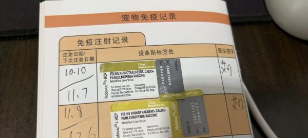 猫三联疫苗，让宠物安心健康（了解猫三联疫苗）