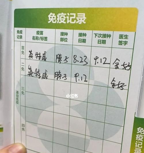 狗狗疫苗与体检（了解狗狗疫苗和体检的相关费用及时间安排）