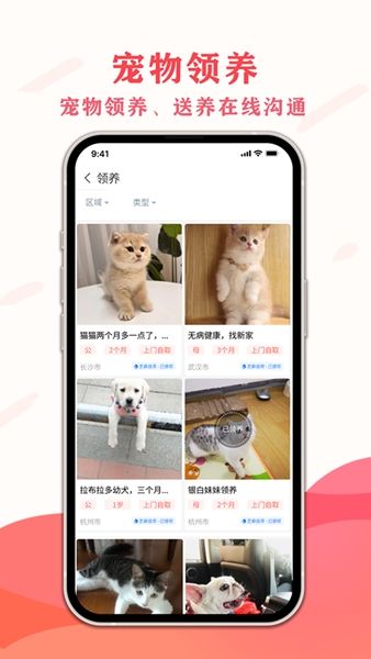 宠夫子图片1