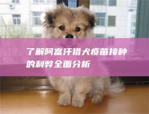 了解阿富汗猎犬疫苗接种的利弊全面分析