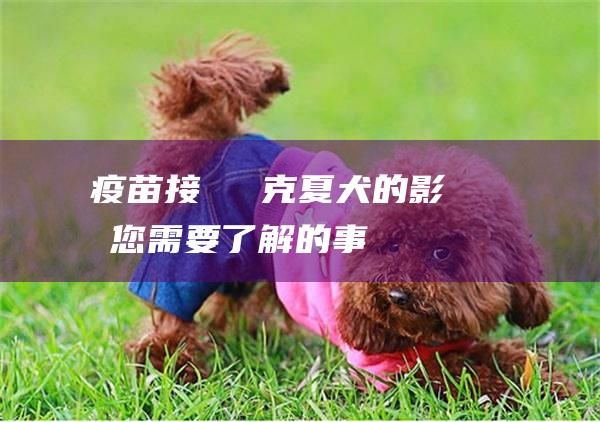 疫苗接種對約克夏犬的影響您需要了解的事項
