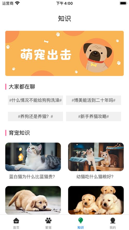 爱宠健康管理