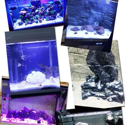 锦江区荣盛水族馆：锦江区荣盛水族馆地址 全国水族馆企业名录