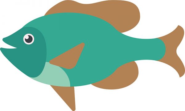 卡通水族馆绿色宠物鱼矢量素材