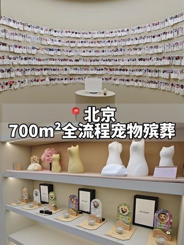彩虹星球：给宠物一个温柔告别