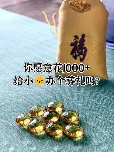 我的小猫咪好小，才烧出了八颗晶石