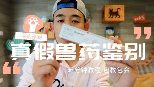 宠物驱虫药也有假？一分钟教你如何识别真假！