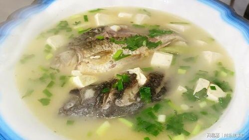狗吃的骨头食谱