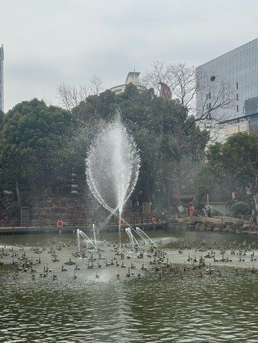 城中公园免费打卡音乐喷泉‼️太赞了