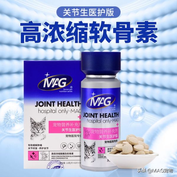 折耳猫,总是一只脚抬起,是发病了吗?怎么办?