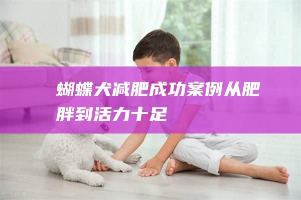 蝴蝶犬减肥成功案例从肥胖到活力十足
