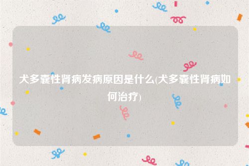 犬多囊性肾病发病原因是什么(犬多囊性肾病如何治疗)