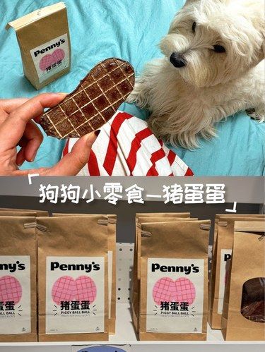 猪蛋蛋