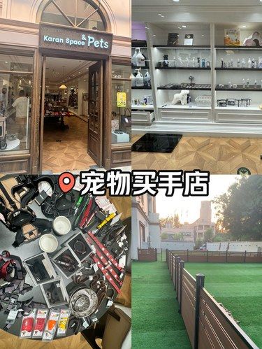 在北京，你绝对不能错过的一家宠物买手店