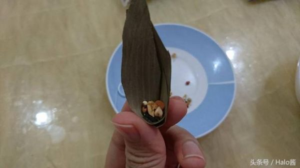 仓鼠宝宝过端午也要吃粽粽！特制迷你粽子馅料一点不马虎~