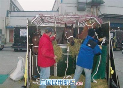 坐飞机龟兔偷着比“登天”