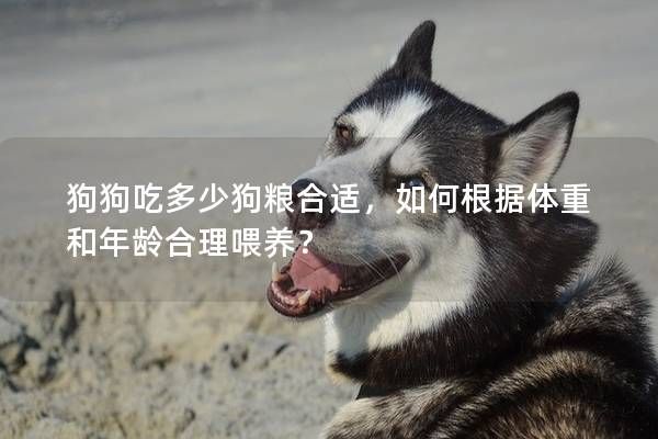 狗狗吃多少狗粮合适，如何根据体重和年龄合理喂养？