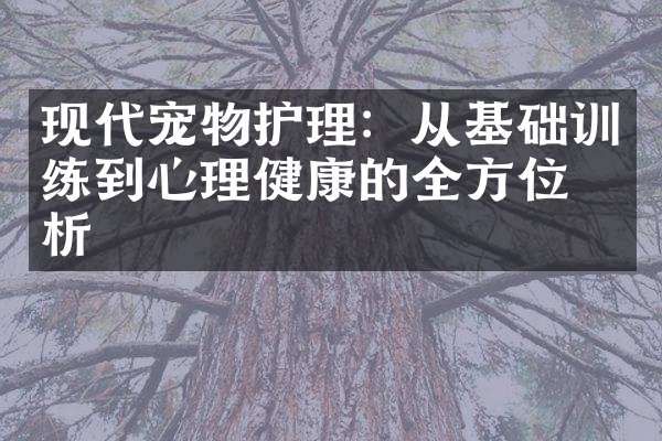 现代宠物护理：从基础训练到心理健康的全方位分析