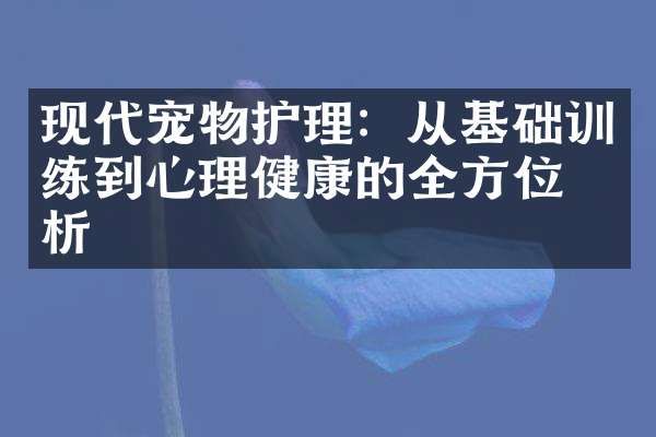现代宠物护理：从基础训练到心理健康的全方位分析