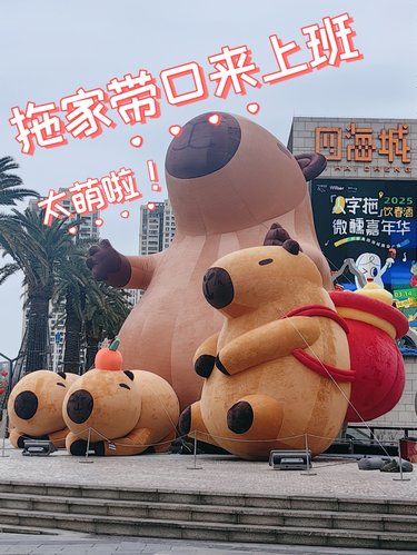 今天❗番禺四海城的卡皮巴拉带孩子来上班啦
