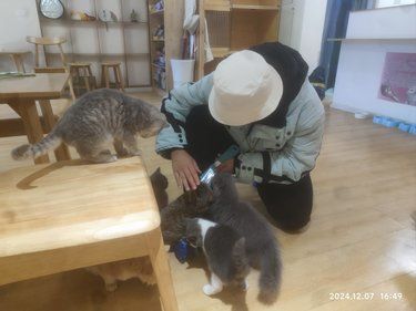 0元探店交作业
