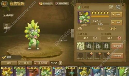 石器时代宠物转生攻略？最全宠物转生技巧和排行榜