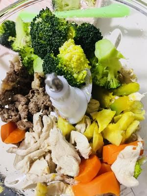 宠物零食-牛肉鱼肉蔬菜饼 /鸡胸肉鱼肉蔬菜饼/的做法 步骤10