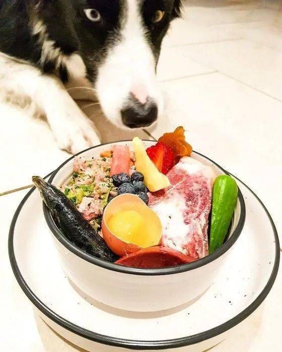 幼犬营养餐，自制狗粮秘籍！