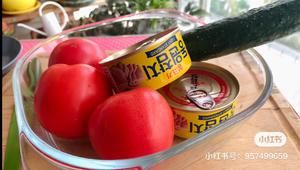 宠物猫饭吞拿鱼蔬菜饭的做法 步骤1